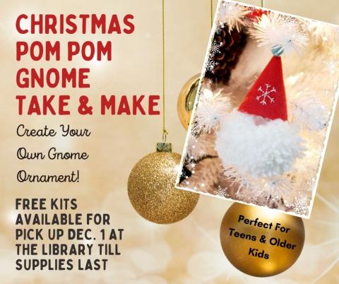 Star City Pom Pom Gnome Teen Take & Make 