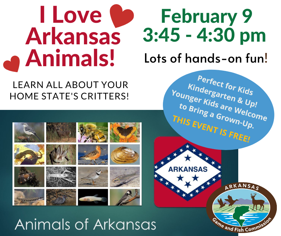 Photos of Arkansas native animals & State flag