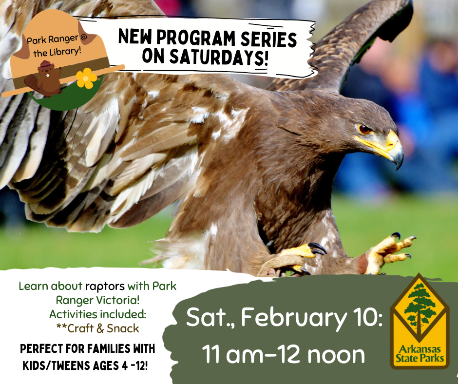 Raptor in flight landing, event date: Feb. 10, 11am -12 noon.